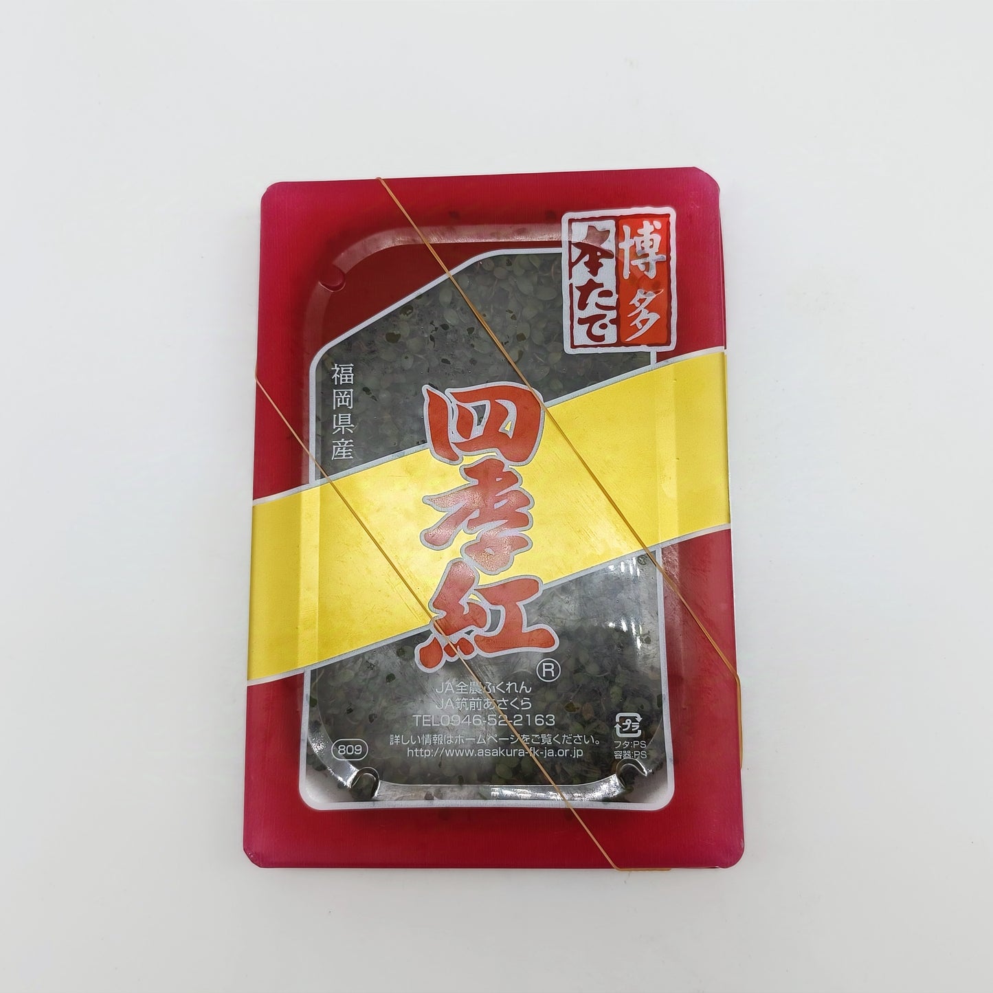 四季紅 本たで 福岡博多