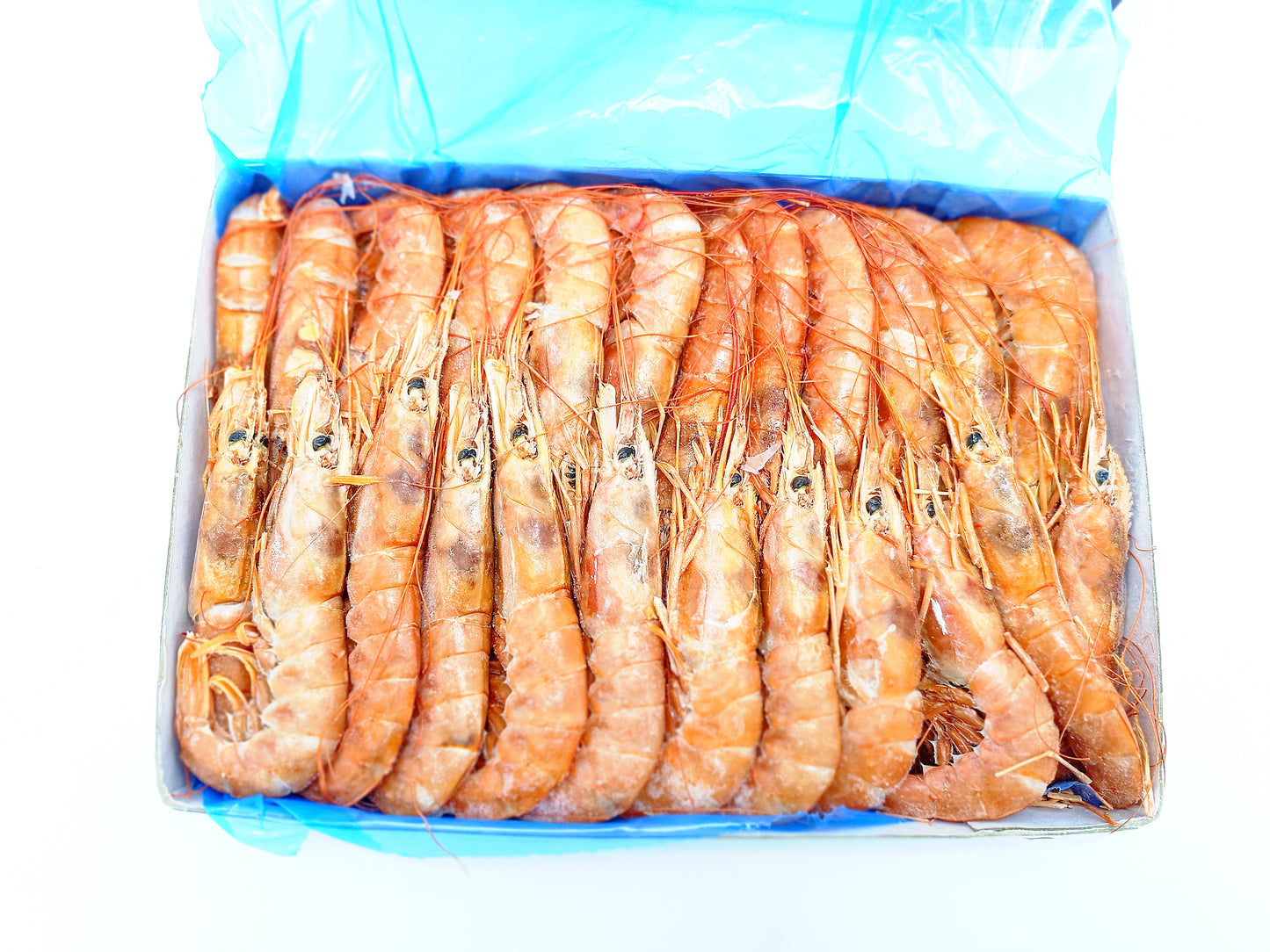 赤海老有頭 2kg 冷凍