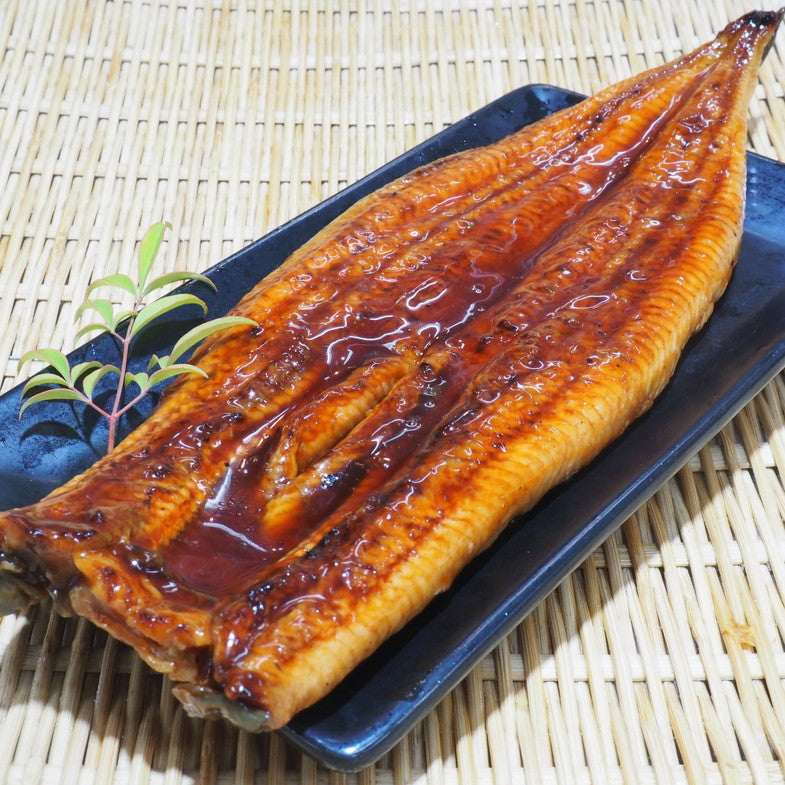 [surgelé] Anguille grillée à la japonaise, variété Japonica 250-270g うなぎ蒲焼 ジャポニカ種