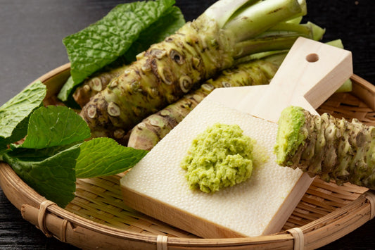 [frais] Wasabi du Japon 生わさび 日本産